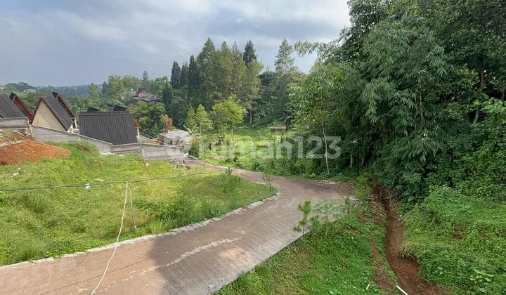 Tanah Shm Dijual Murah Di Kawasan Wisata Puncak Bogor