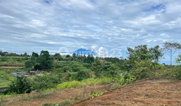 Potential Land with Best View for Sale in Puncak Bogor