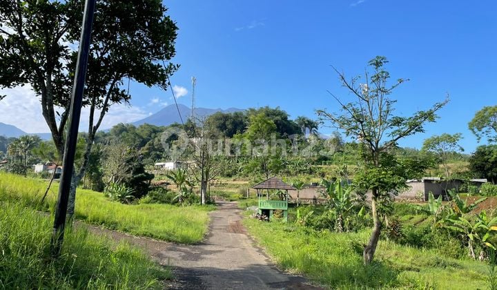 Tanah Shm Dekat Taman Wisata Dijual Murah