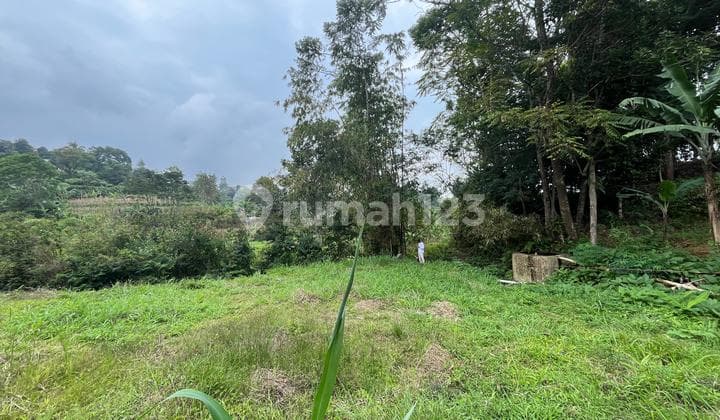 Tanah Shm Dijual Di Puncak Bogor