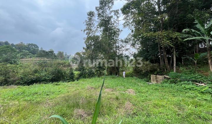 Tanah Shm Dijual Di Puncak Bogor