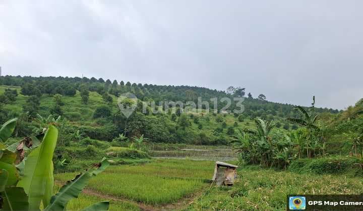 Tanah Di Jual Bonus 1 Bangunan