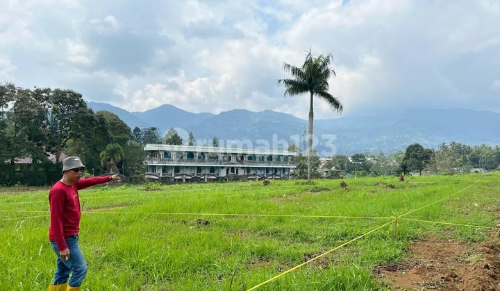 Land Near Puncak Main Road Best View