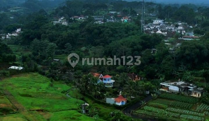 Tanah Dijual Shm Siap Bangun Di Puncak