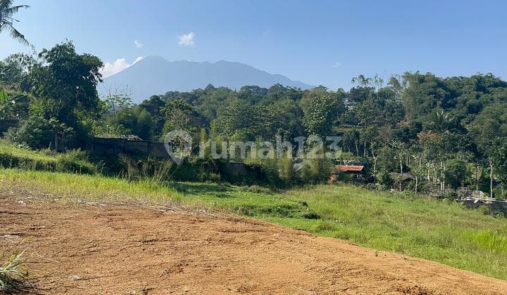 Tanah Dijual Shm Siap Bangun Di Puncak Bogor