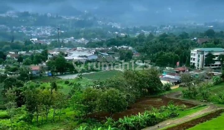 Tanah Shm Di Jual Di Puncak Bogor