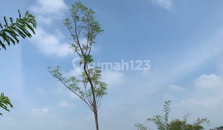 Tanah SHM Malang Kota Dekat 3 Kampus Ternama