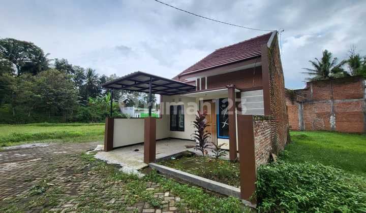 Rumah 1 Lantai Kota Malang Free Full Furnished
