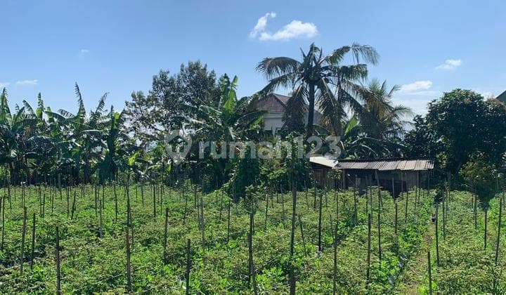 Tanah Full View SHM Perumahan Sejuk Malang Kota