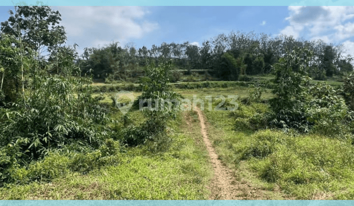 TANAH KAVLING DIJUAL MURAH LOKASI POROS JALAN MALANG KOTA