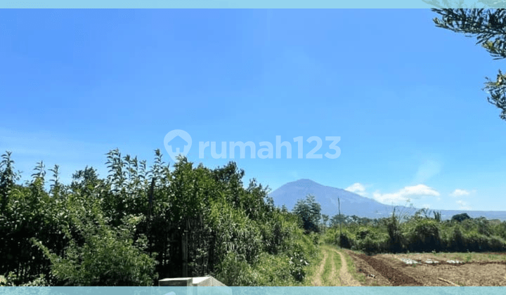 DIJUAL CEPAT TANAH KAVLING STRATEGIS ZONA EXCLUSIVE KAMPUS