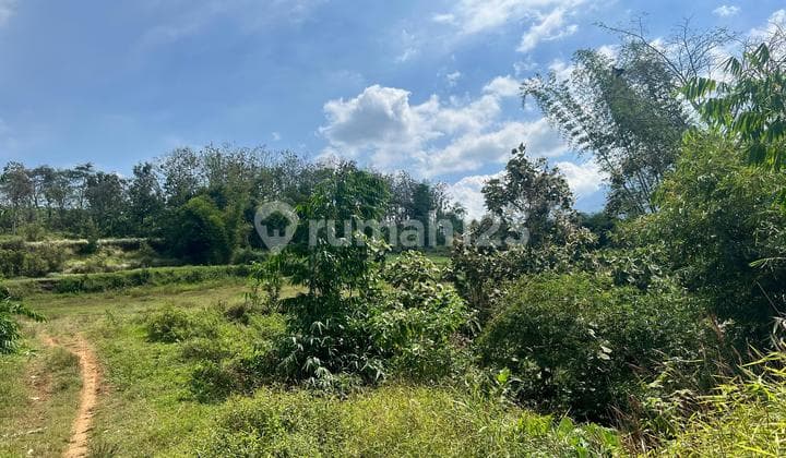 Tanah Prospektif Untuk Usaha dan Hunian 60 m2 SHM Malang Kota, Malang