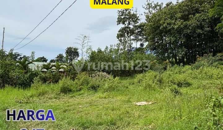 Tanah Potensial Untuk Rukost UIN 3 69 m2 SHM Malang Kota, Malang