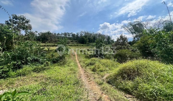 Tanah Kavling dengan Akses Jalan Mudah SHM