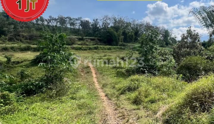 Tanah Cocok Untuk Investasi Hunian 60 m2 SHM Malang Kota, Malang