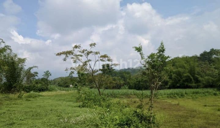 Tanah di Kota Malang SHM Bebas Macet