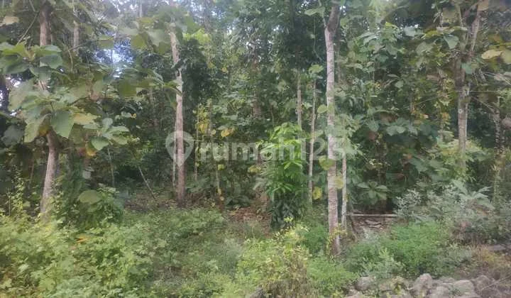 Tanah Strategis, Dekat Jl Nasional & Tol