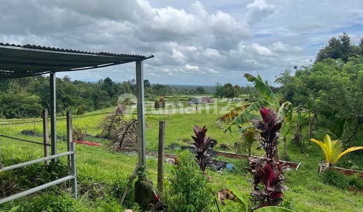 Tanah Luasan Kecil View Sawah ,Gunung dan Laut