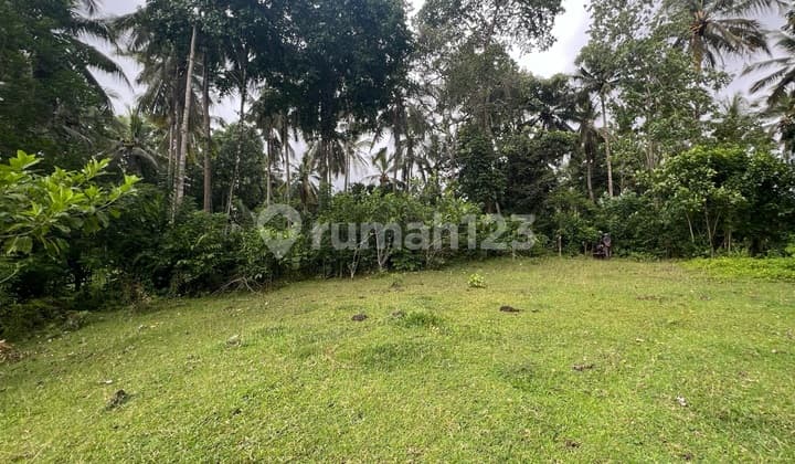Tanah Zona Kuning Cocok untuk Rumah Tinggal atau Villa