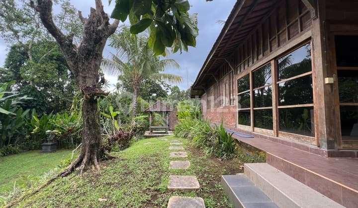 Tanah Sudah Bonus Bangunan Kayu Murah Di Tabanan Bali