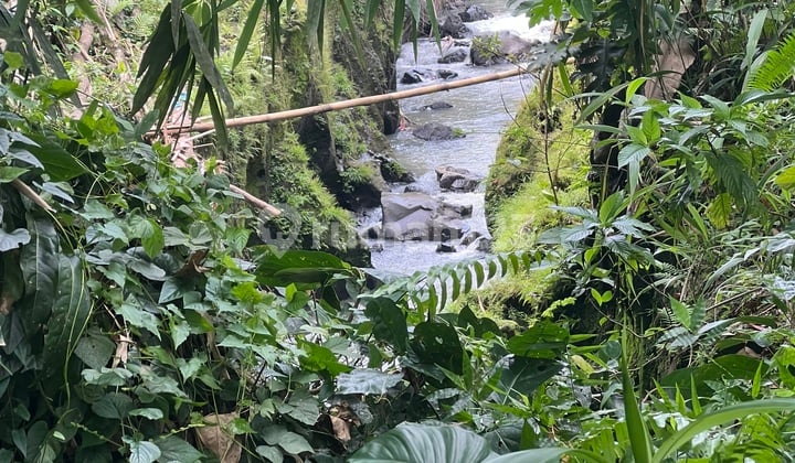 Land Near Tabanan City, Jungle View, River.