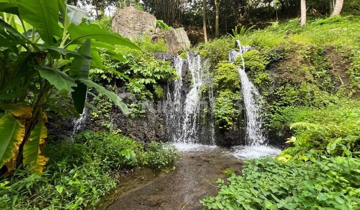 Tanah Dengan Sumber Mata Air Di Tabanan Bali