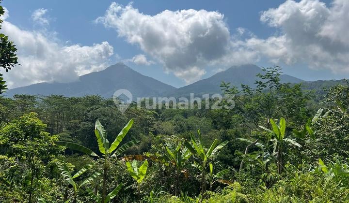 Di Jual Tanah Murah Di Wisata Jatiluwih Tabanan Bali View Cantik