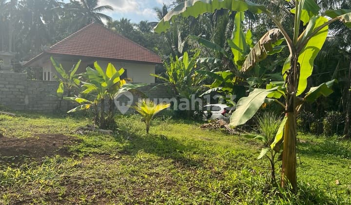 Tanah Luasan Kecil Zona Kuning Cocok Untuk Hunian