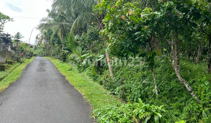 Yellow Zone Small Land Suitable for Residential House