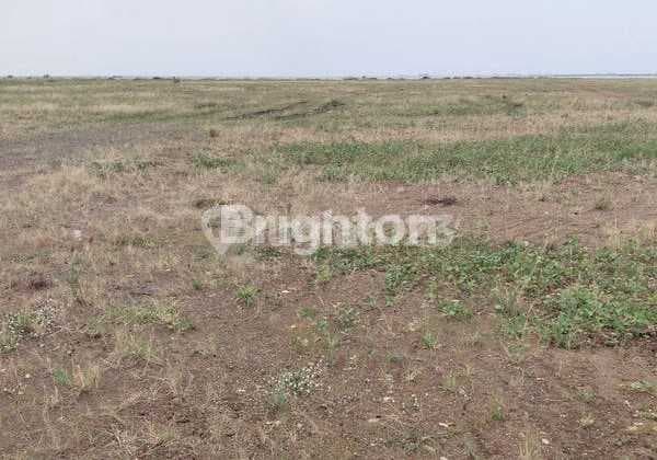 Solusi Lengkap Untuk Industri Anda: Lahan 90.000 M² Di Kiw, Dapat Dikavling Mulai 10.000 M²