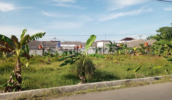 For Sale Fast Strategic Location Land for Building Shophouses #ED05