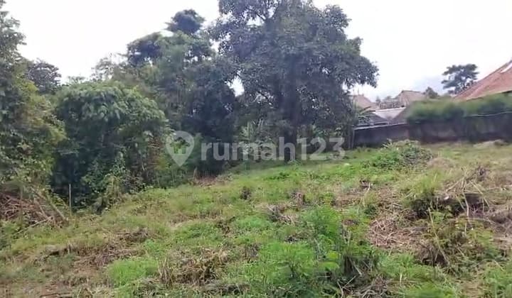 Premium Land Los Sungai SHM Pink Zone Serene Environment