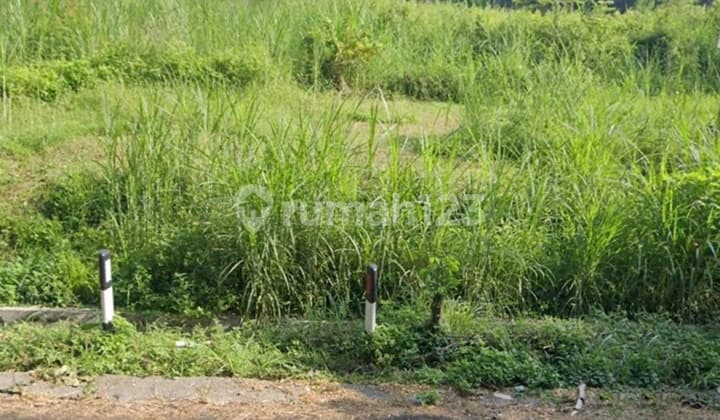 Industrial Zone Land in Prigen Near Batu Malang
