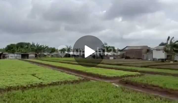 Dijual Cepat Tanah / Kavling Tangerang untuk Investor