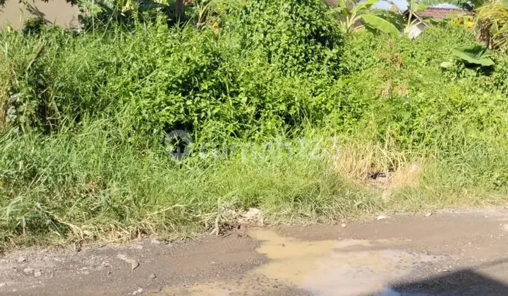 Tanah Dijual 2 Are, Munggu Pemaron, Badung