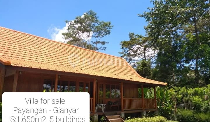 Sale - Land 1,625M2 Wz Wooden House Payangan Village, Gianyar