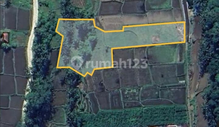 For Sale/For Rent 49.10 Are Land In Tegalalang, Gianyar