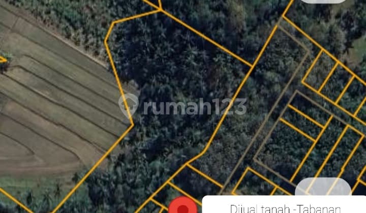 For Sale 2.5 Are Hook Land in Tabanan Near Balian Beach