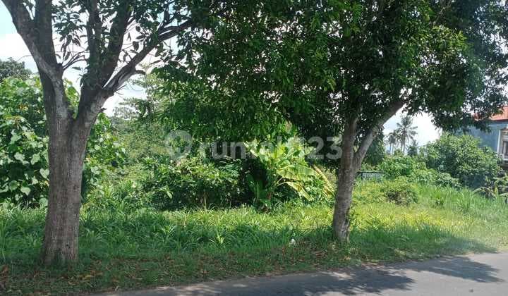 Dijual Tanah 995 M2 Dekat Obyek Wisata Taman Ujung, Karangasem