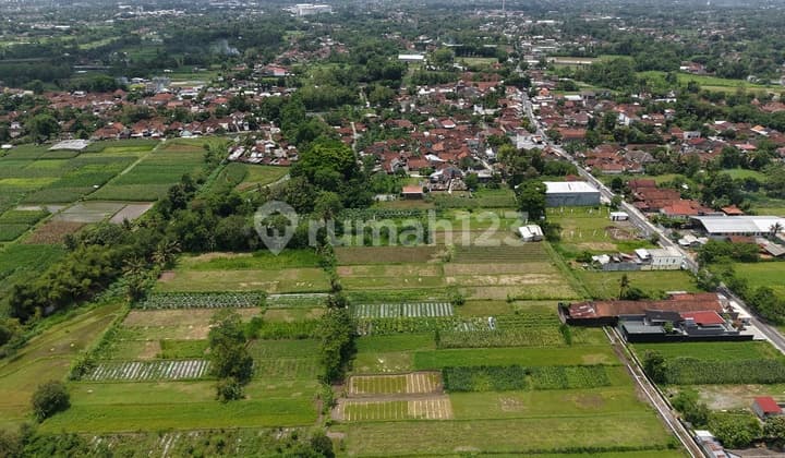Tanah SHM Sleman Barat Lingkungan Sejuk dan Mangku Jalan Utama
