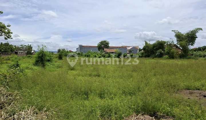 Tanah Tropis Tenang dengan Panorama Sawah di Banguntapan