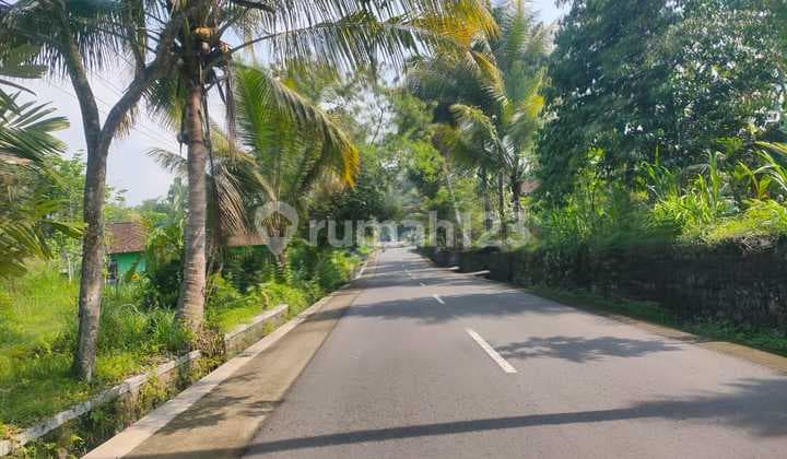 Lahan SHM Premium Cocok untuk Bisnis Penginapan