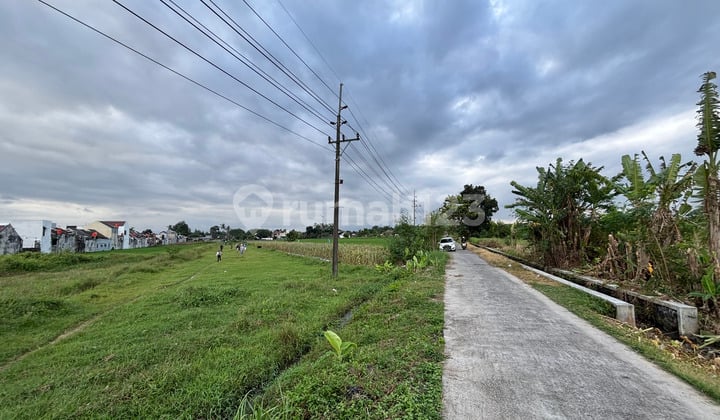Tanah SHM Godean dengan View Sawah Hijau 5 Menit Ringroad