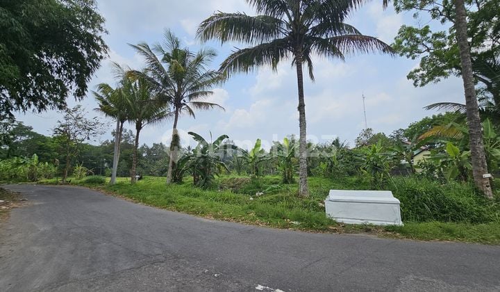 Kavling Murah Strategis untuk Usaha Penginapan di Jogja