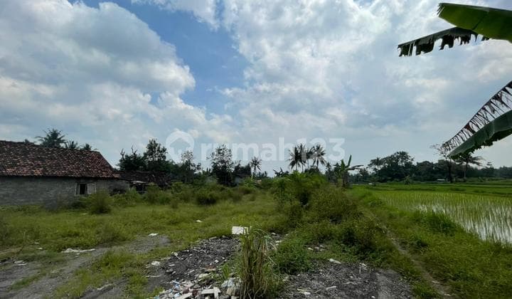 Tanah SHM Sejuk Nyaman untuk Hunian Slow Living Sleman