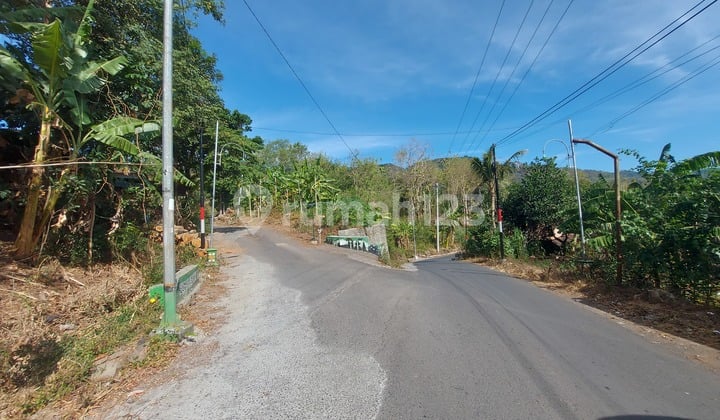 Tanah Murah di Jogja Premium Dekat Lingkungan Tropis