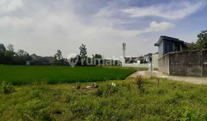 Tanah Siap AJB Asri Cocok untuk Resort Style Living di Kota Jogja