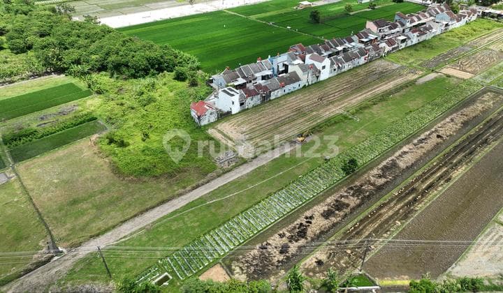 Tanah SHM Pekarangan dekat 5 Kampus Besar Jogja