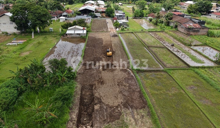Kavling Jogja Eksklusif untuk Rumah Type 45 Bernuansa Alam