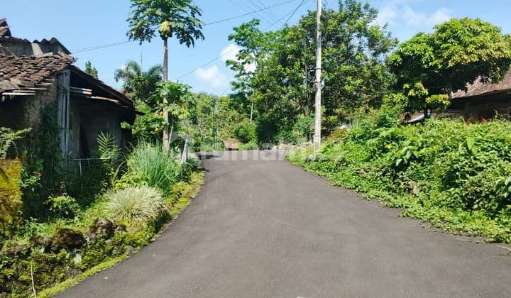 Tanah SHM Potensial Villa, Guest Home, Hunian Private Sleman